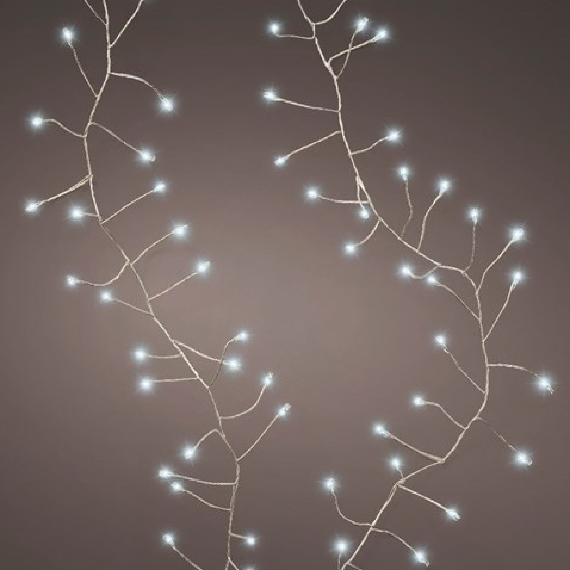 100 Battery Powered White LED Cluster Timer Lights on Silver Cable Best deal ???? Kaemingk 100 Battery Powered White LED Cluster Timer Lights On Silver Cable ✔️ -UK Christmas World shop 485845 900373 1