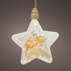 Coupon 🎉 Kaemingk 20cm Translucent Glass LED Hanging Star On Rope 🥰