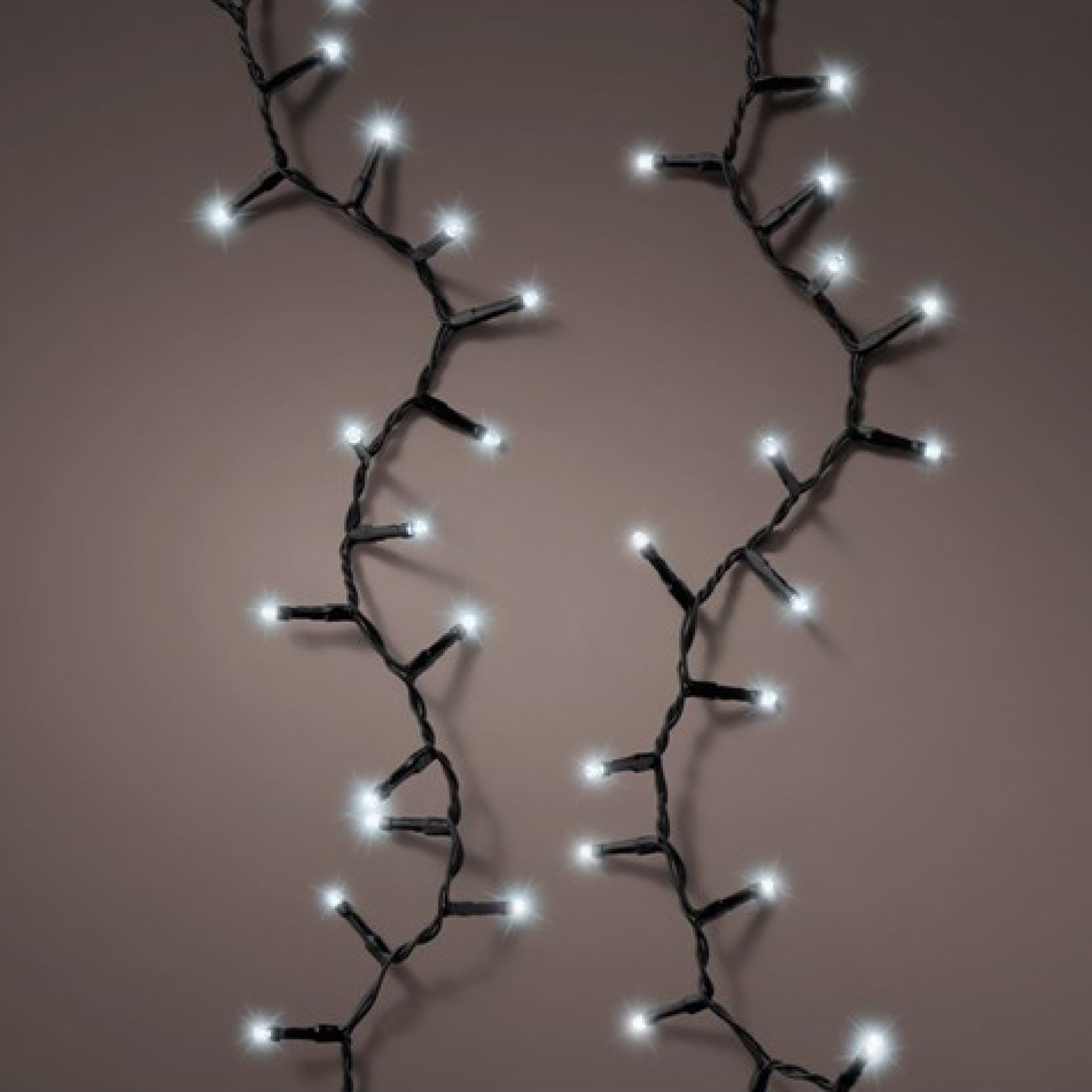 600 Battery Powered Cool White Multi Action Compact LED Lights Buy ???? Kaemingk 600 Battery Powered Cool White Multi Action Compact LED Lights ⌛ -UK Christmas World shop 497273 900402 2