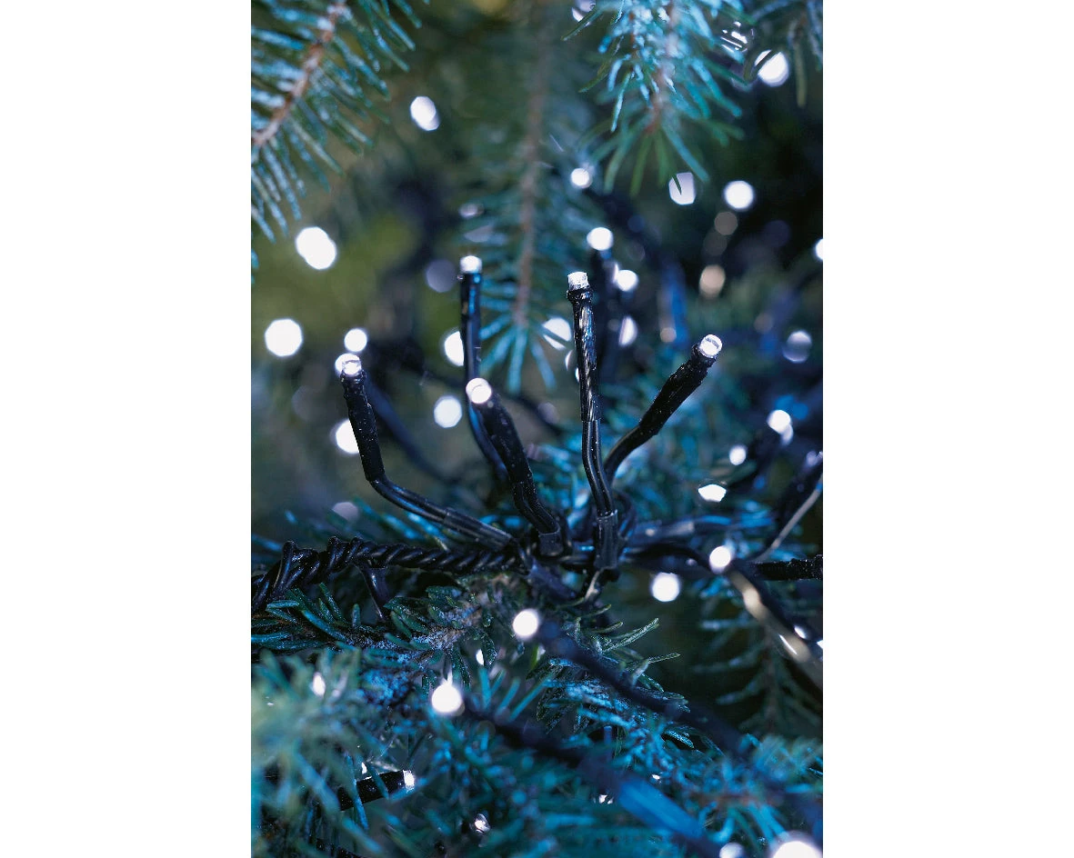 Budget π Kaemingk 192 Cool White LED Compact Cluster Twinkling Outdoor Durawise Battery Lights π₯ 4 Budget π Kaemingk 192 Cool White LED Compact Cluster Twinkling Outdoor Durawise Battery Lights π₯ - Image 4