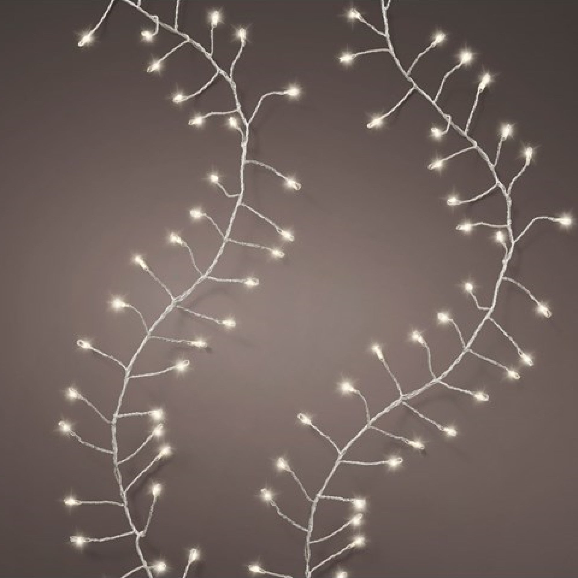 4.5m Micro LED Compact Twinkle Lights with 360 Warm White Lights Promo ???? Kaemingk 4.5m Micro LED Compact Twinkle Lights With 360 Warm White Lights ???? -UK Christmas World shop 500827 900442