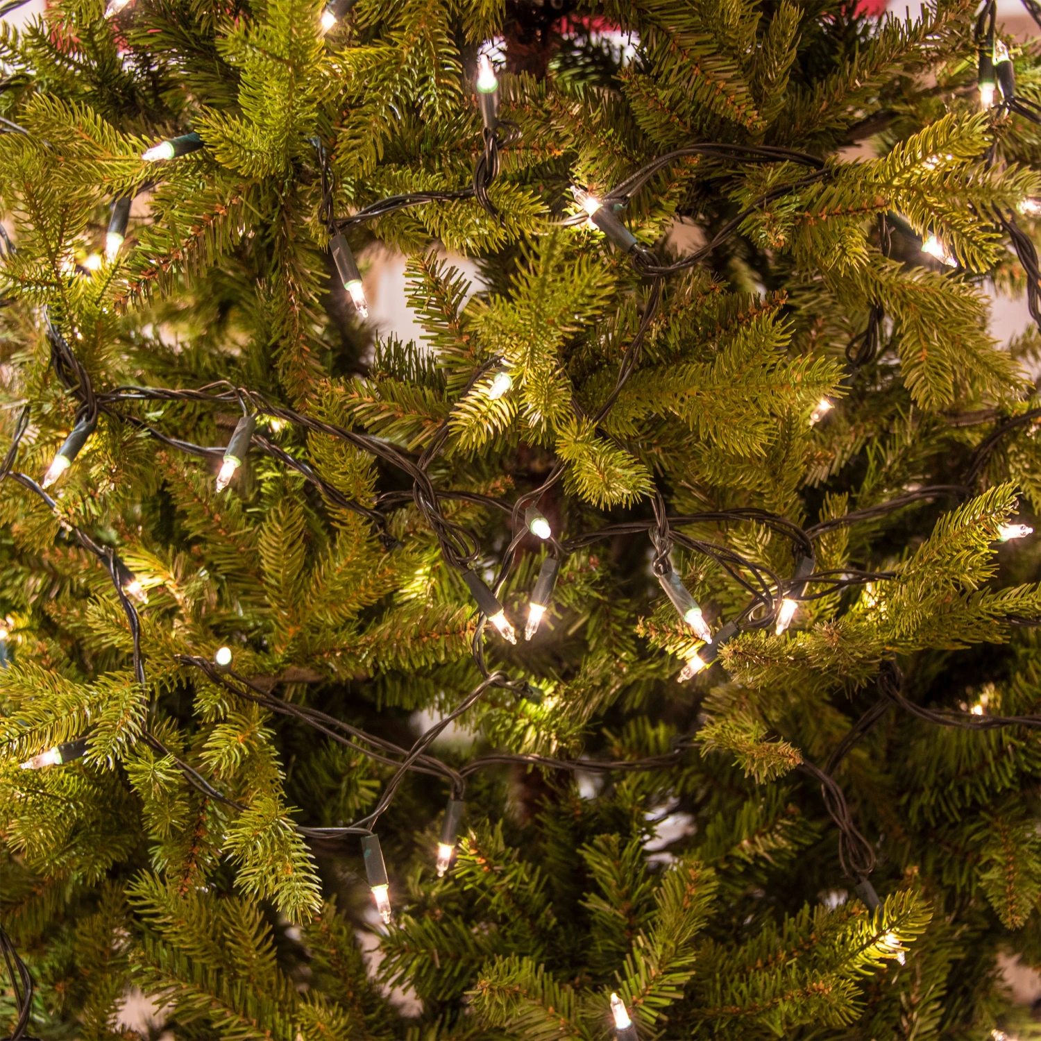 Promo π Noma 120 Classic Traditional Clear Mini String Fairy Lights With Green Cable π 3 Promo π Noma 120 Classic Traditional Clear Mini String Fairy Lights With Green Cable π - Image 3