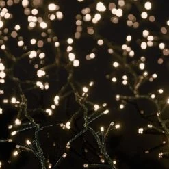 Best deal 🥰 Premier 2000 Warm White Treebrights Multi Action LED Lights With Timer ✨ -UK Christmas World shop ww tb1 Copy 9b4638fc 22e4 472c 8c08 d926ac959aa6